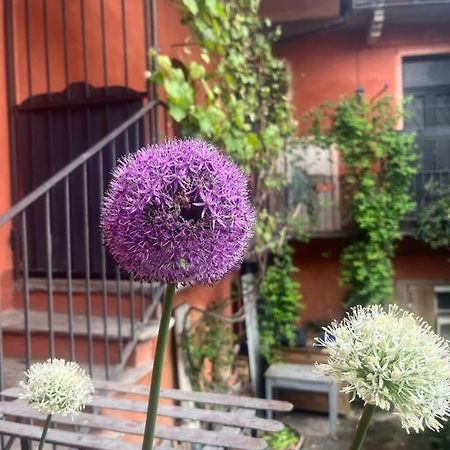 Come A Casa Castelletto sopra Ticino Eksteriør billede